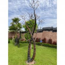 Metall Skulptur "Köcherbaum"