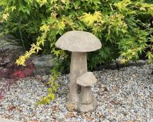 Steinpilze  "Limestone"