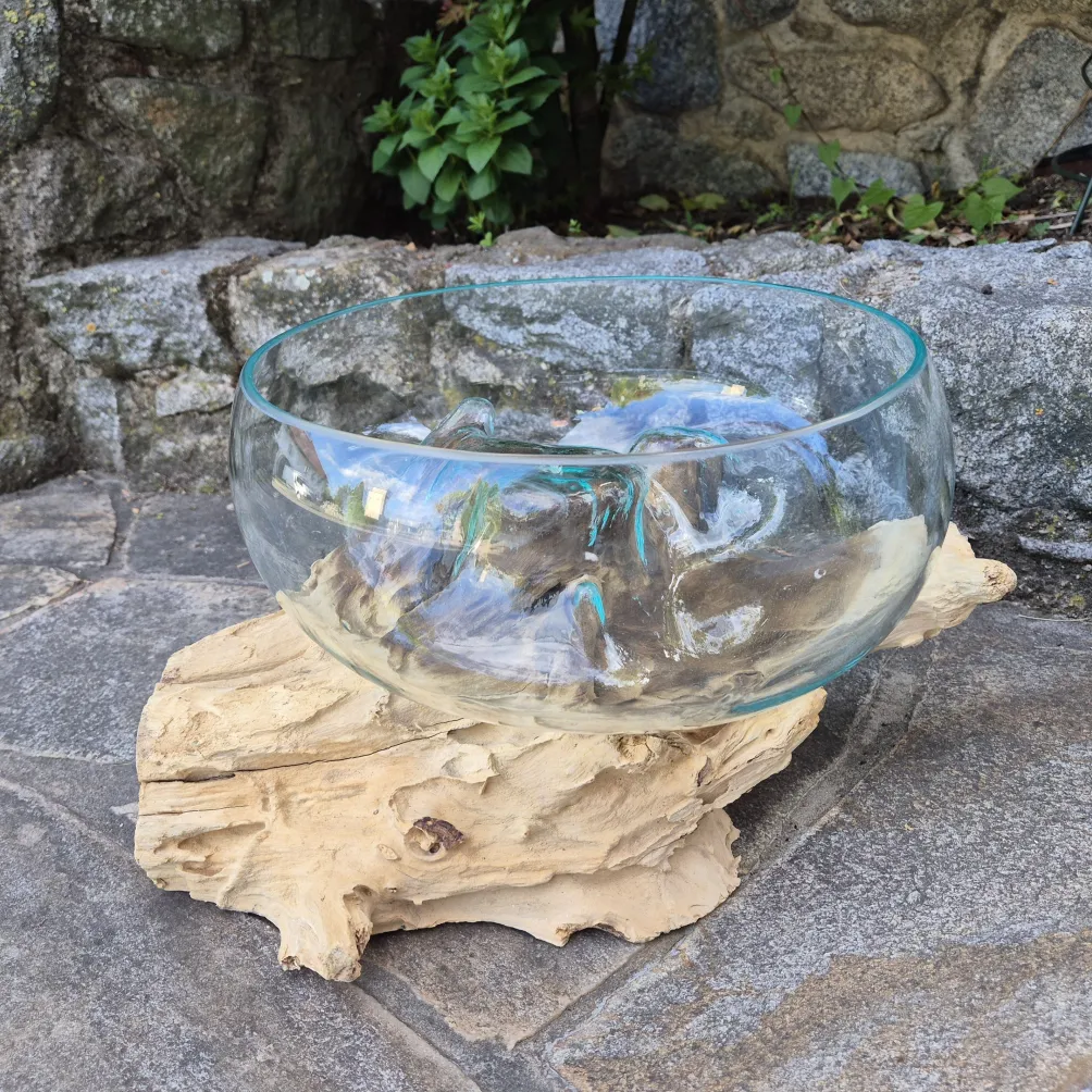 Obstschale auf Teakholzwurzel