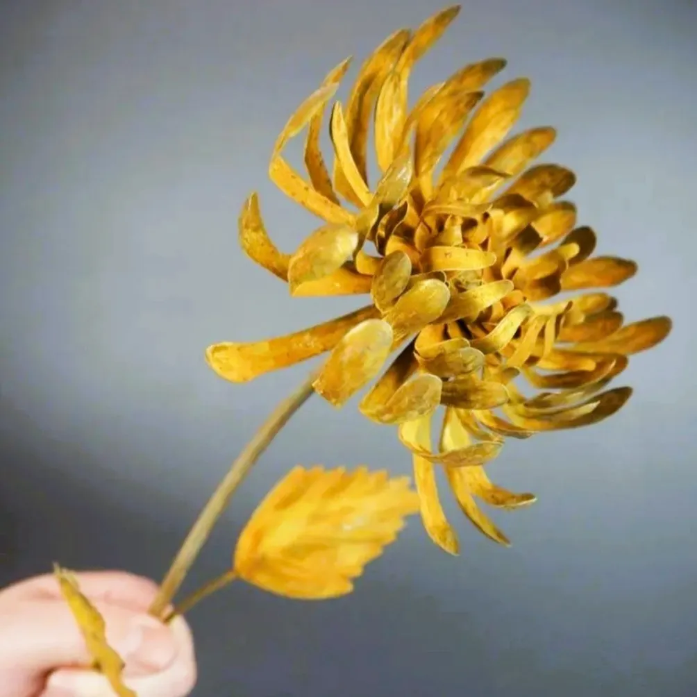 Rostblume "Chrysantheme"
