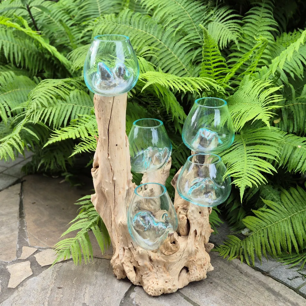 Teakholzwurzel mit 5 Glasvasen