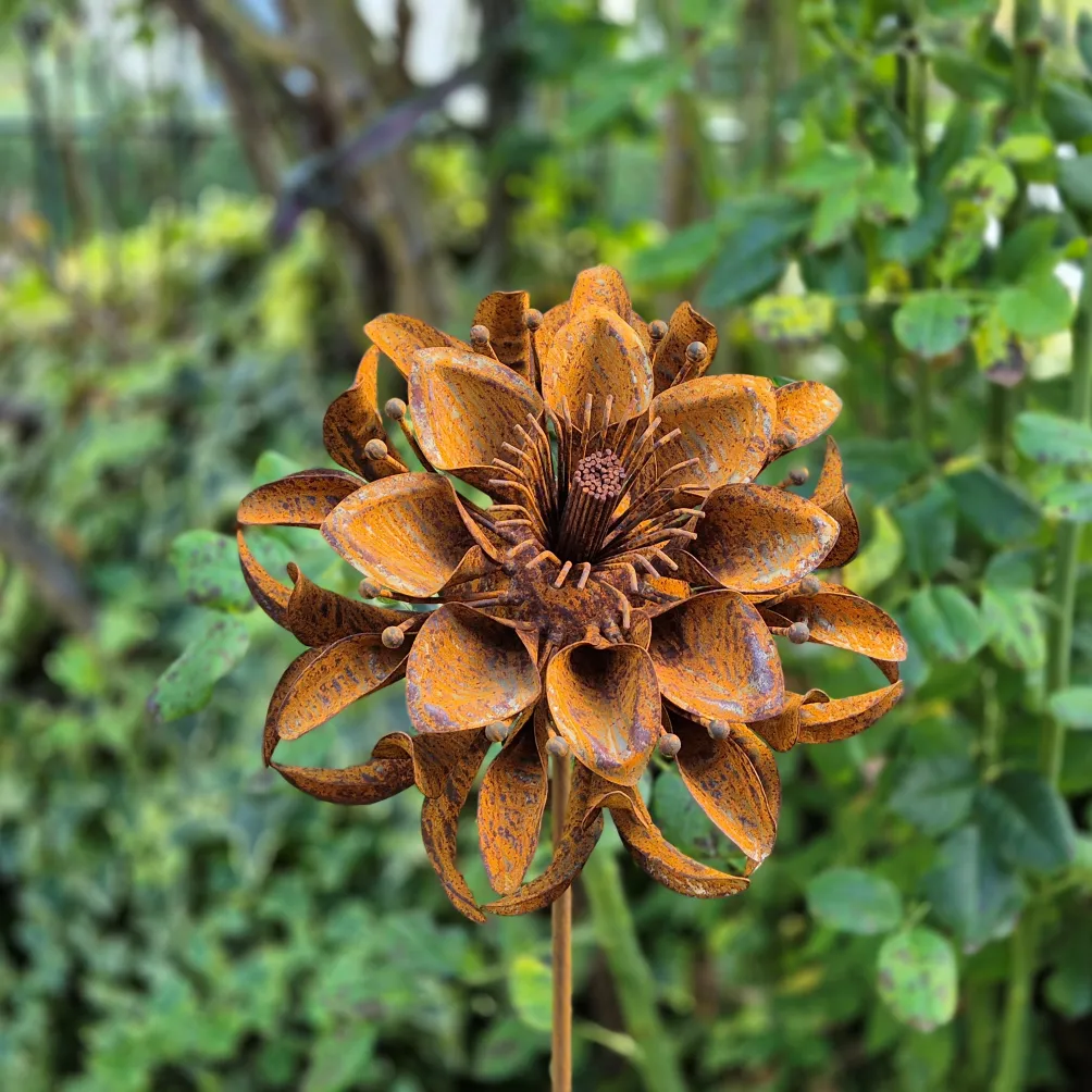 Edelrostblume "Azalee"